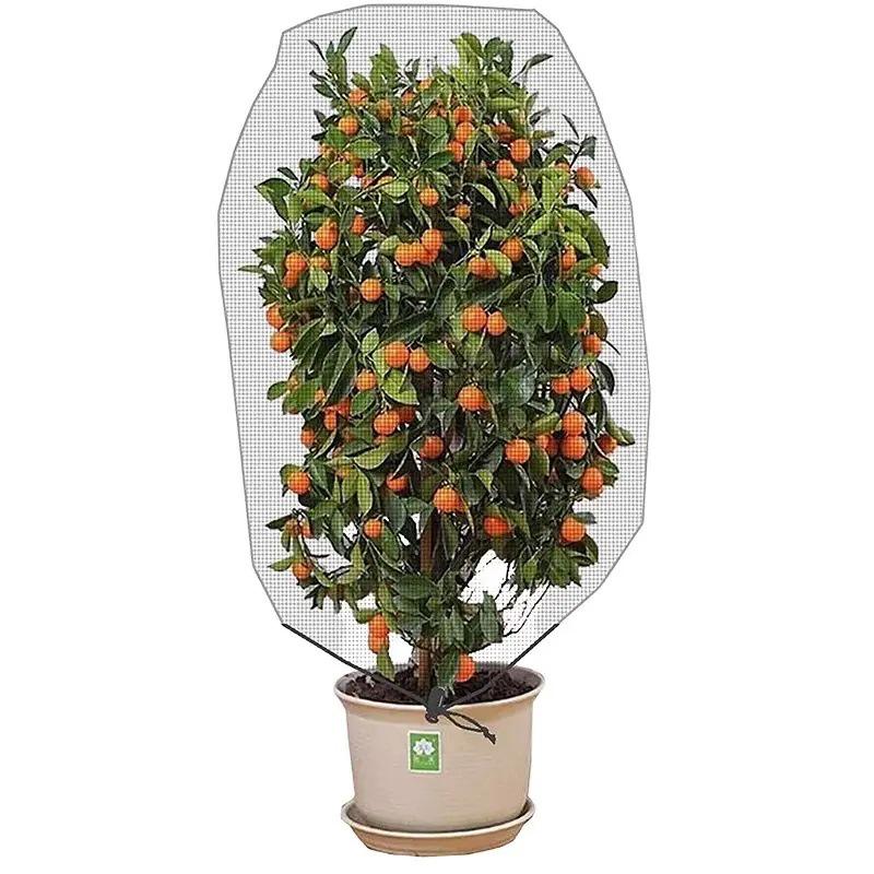 Exclusive Insect-Proof Mesh Netting for Vegetables, Fruit Trees, Greenhouses, and Bird Protection