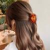 Half-tied Hair Clip Back Head Claw Reinforced Shark with Elastic Base Halloween Skull Transparent Acrylic Claw Pumpkin Bat Patterns for Bun