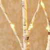 Hairui White Birch Branch String 100 Ambient Stylish Nordic Timer White Not Lights, 80cm, LEDs, Battery-Operated, Lighting, Style, Function,