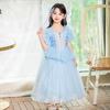 2024 New High-quality Frozen Elsa Bubble Sleeve Cape Mesh Princess Dress Elsa Dress RA99