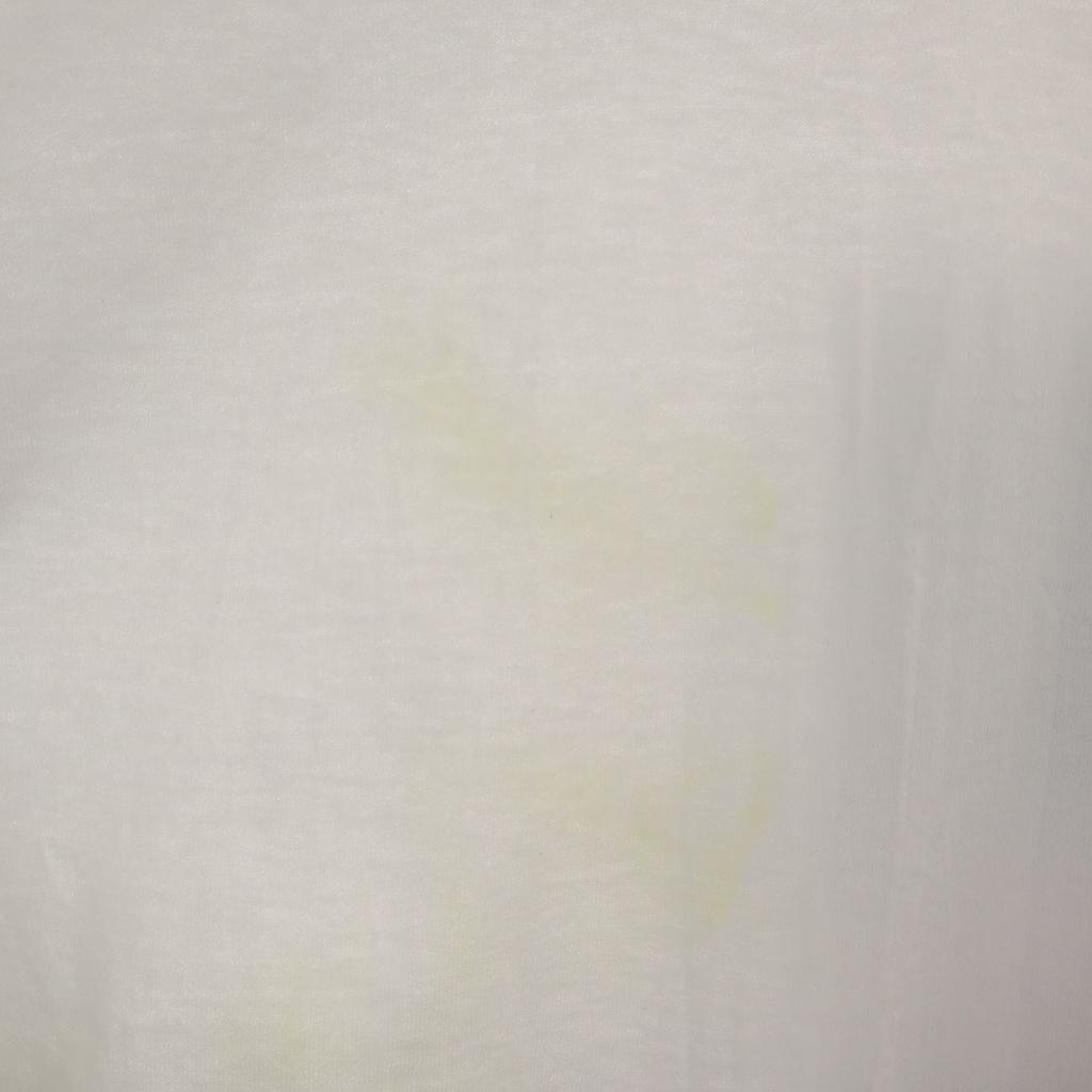 Hanes 80s 90s Made in USA Old Short sleeve T-shirt Big size single stitch Men's Used