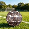 1pc Lion Love Snow Size 5 Soccer Ball Professional Match Training Football Indoor &Outdoor Sports Ball Lightweight Durable c6540