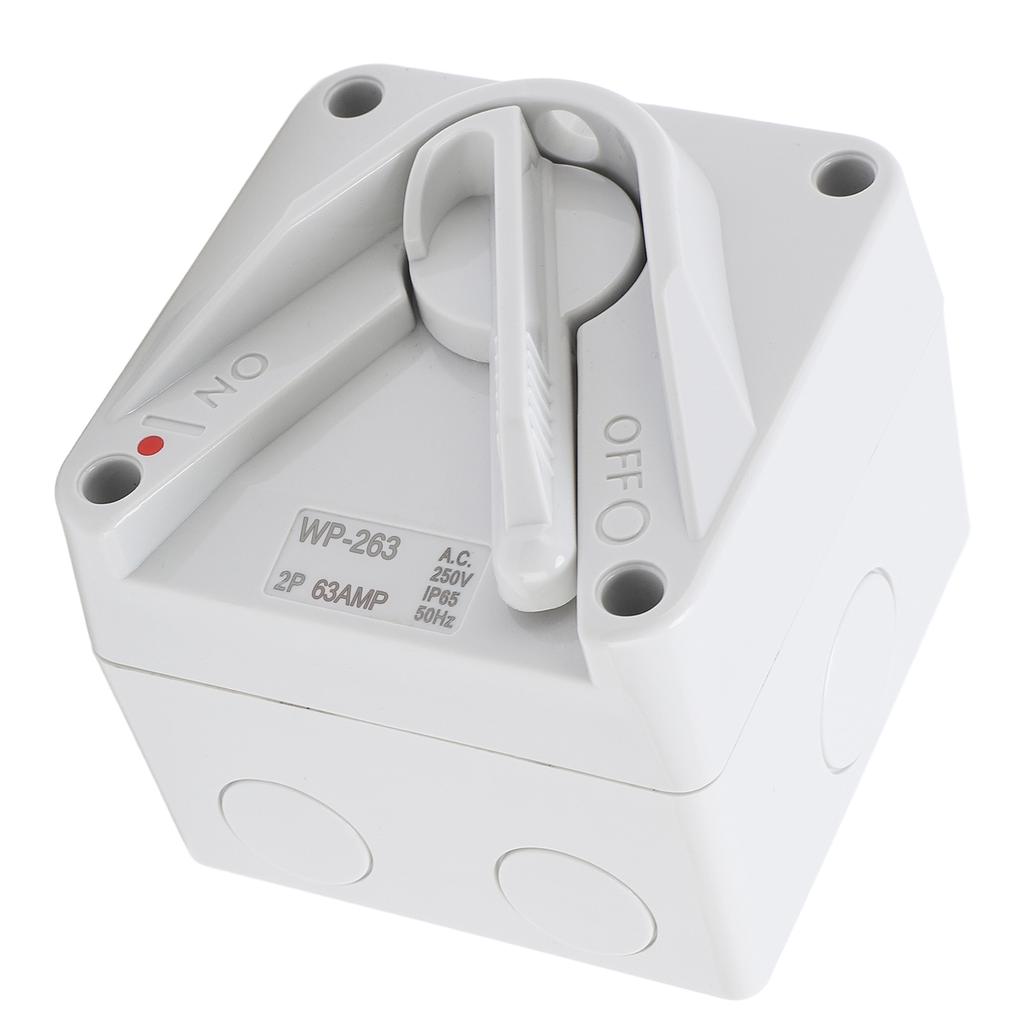 Enclosed Motor Disconnect Switch AC 63A 2P IP65 Water Proof Safety Isolation Switch for Generator