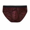 Men Underwear Ice Silk Mesh Breathable Comfortable Boxer Panties Triangle Briefs