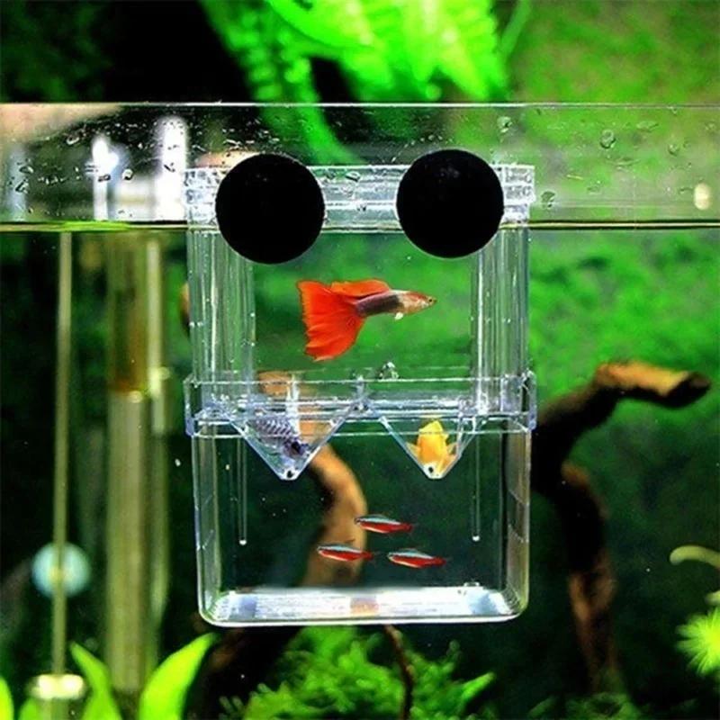 Transparent Fish Aquarium High Clear Breeding Isolation Box Pet Supplies Breeder Tank Double Guppies Hatching Incubator