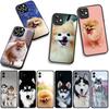 Husky Pomeranian Dog Phone Cover for Xiaomi Redmi Note 11 15 9 10 Pro Plus 8 A5 9A 9T 10A 10C 9C NFC 15C 8T Case