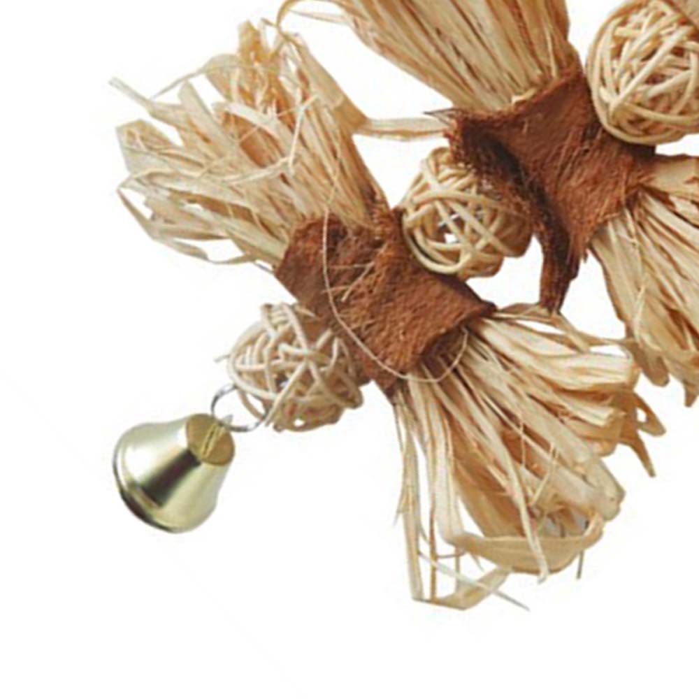 Rattan Training Parrots For Bird Cage Swing Parrot Toys Bird Perch Bird  Supplies Chewing Toy