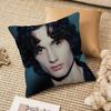 Sombr Pillow Case Anti-Dustmite Invisible Zipper Sofa Bed