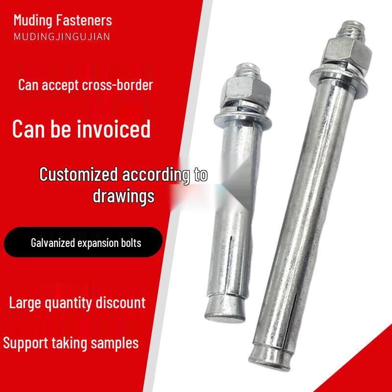 

Galvanized Grade 4.8 Expansion Bolt for Ceiling Installation M6 x 60 mm