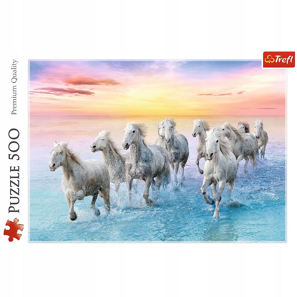37289 "500 - White Horses Galloping" / 500px_L