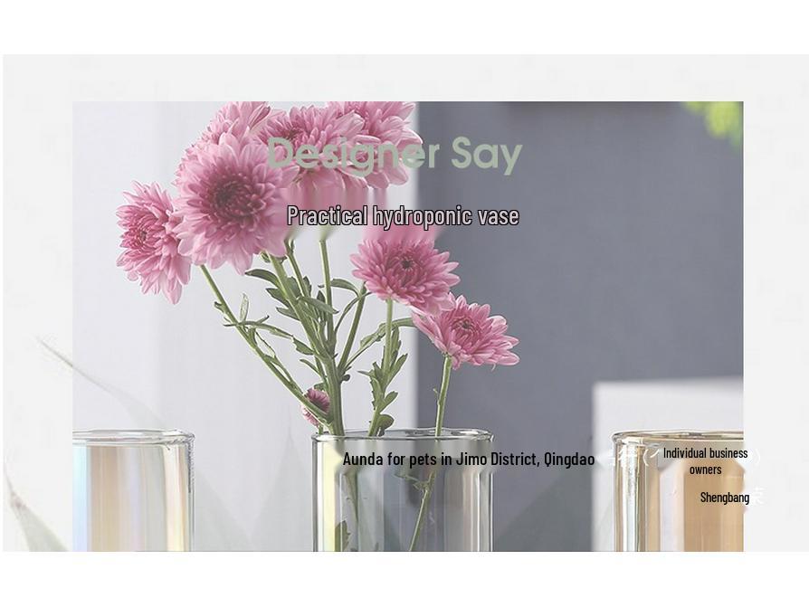 Transparent Minimalist Glass Vase for Office Decoration with Fresh or Dried Flowers