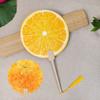Fruit Print Fan with Wooden Long Handle Portable Lightweight Outdoor Travel Camping