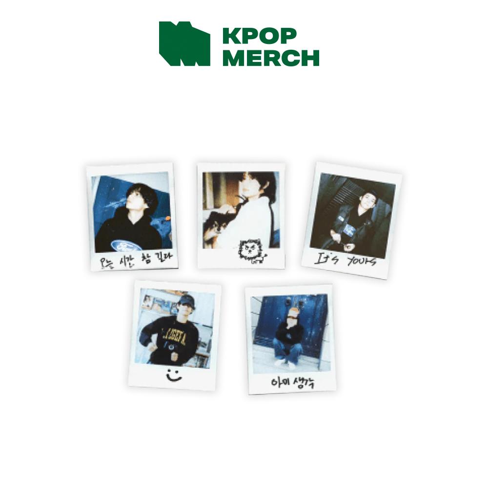 

V - Набор магнитов LAYOVER(S) 1ea