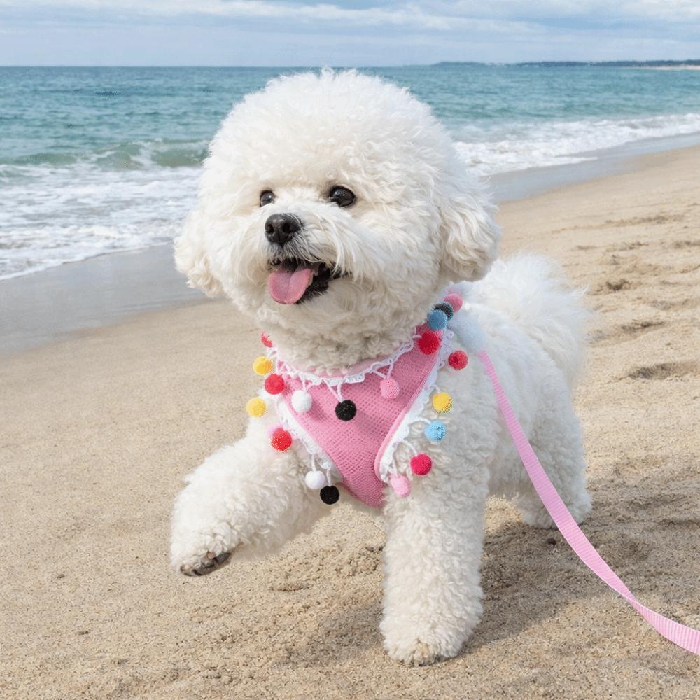 Colorful Ball Pet Harness Leash Adjustable Pet Walking Rope Durable Dog Harness Vest  Daily Use