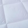 Mengjie Down Alternative Duvet Insert
