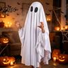 Unisex Halloween Wear Ghost Costume for Kids Adults, Cosplay Fancy Dress, Breathable Party Spooky White Cloak Cape with Black Eye Holes