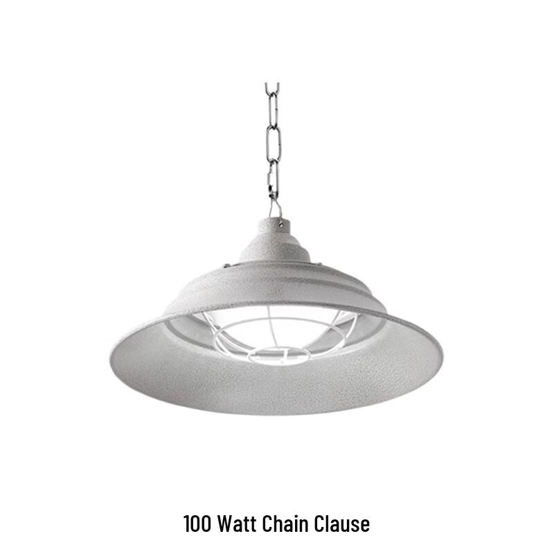 HNYH 100W Explosion-Proof Chain Mount Lamp