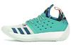 Harden Vol. 2 'Vision' B28106