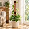Wooden Plant Climbing Trellis Hollow Out Plant Fixed Frame Plant Support Frame  Climbing Plant