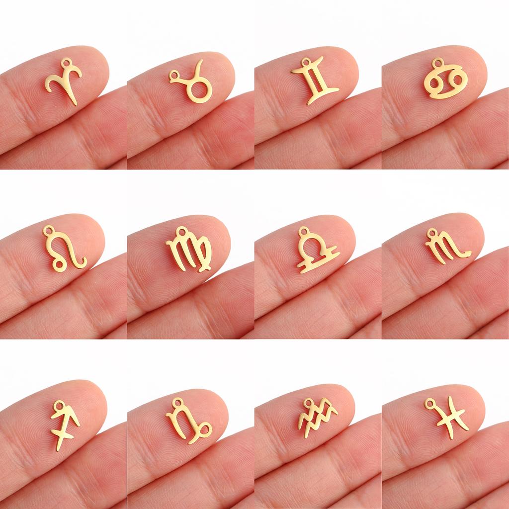 5Pcs/Lot Stainless Steel 12 Zodiac Sign Charms Mini Constellation Pendants DIY Handmade Craft Necklace Bracelet Jewelry Making