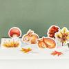 Autumn Forest Self-Adhesive Momo Box Stickers for Albums and Decoration