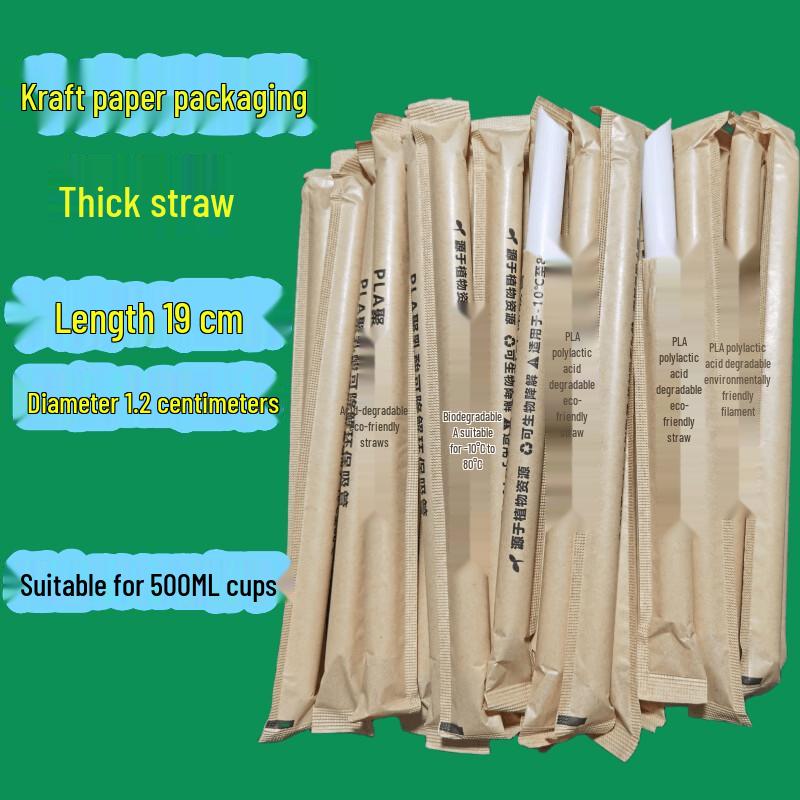 ZISIZ Eco-Friendly PLA Large Straw