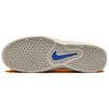 Nike Vertebrae SB Light Iron Ore Cosmic Clay Men Sneakers Grey Summit-White Platinum-Tint FD4691-102