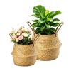 2pack-Seagrass Plant Basket with Handles, Woven Storage Basket, 7inch Diameter X 8inch Height 8.3inch Diameter X 9inch Height