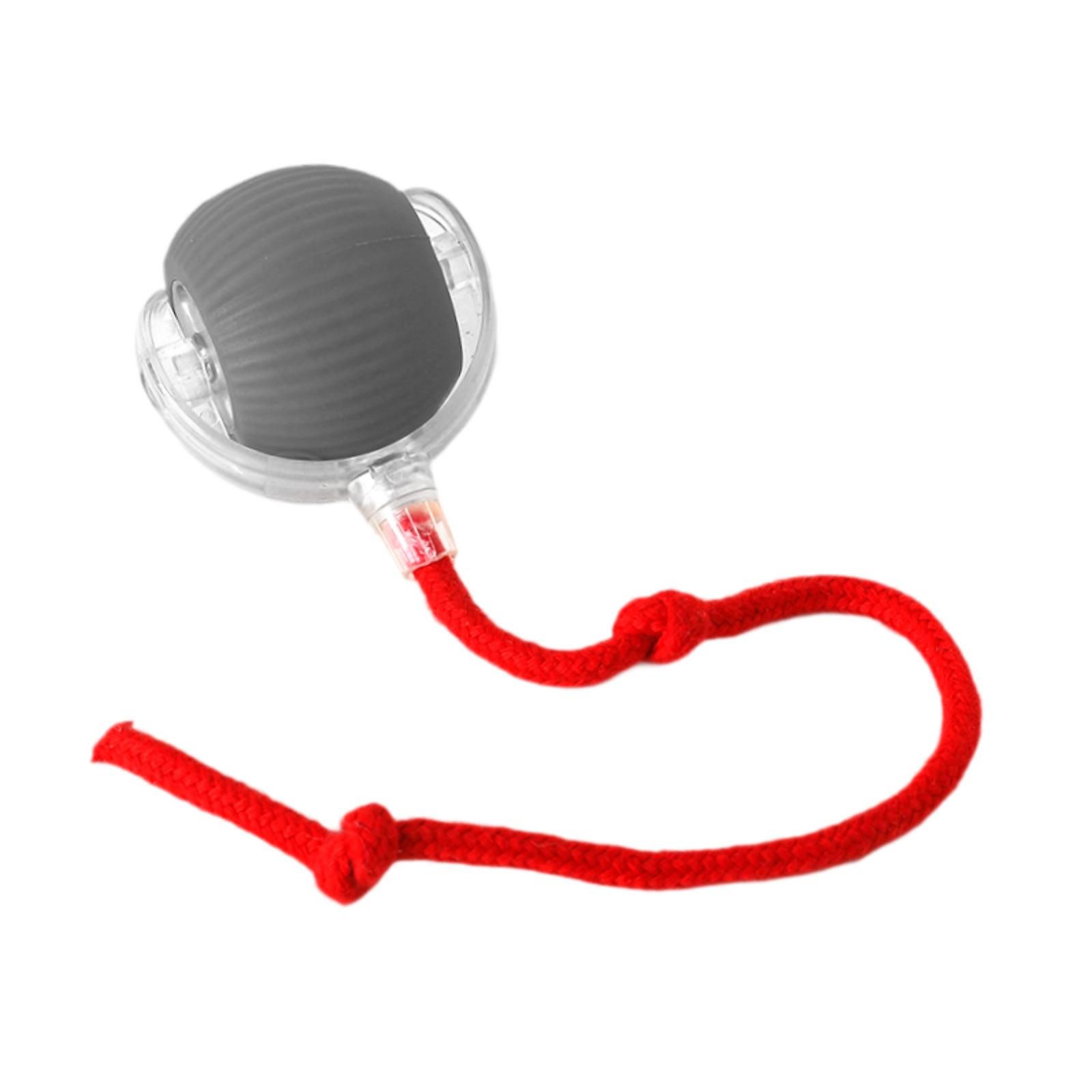 

Интерактивная игрушка для кошек, легкая, портативная, для кошек, живущих в помещении, взрослых, котят, котят серый