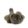 Multi Love Siamese Cat Plush Toy With Pp Cotton Filling For Kids Gift And Collection