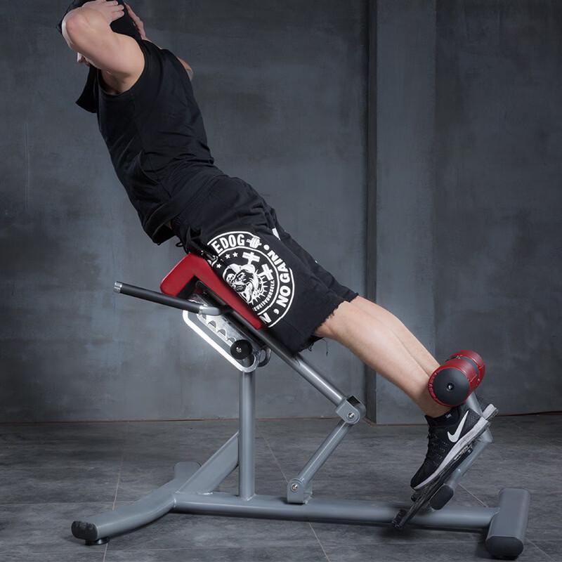 YANBO Roman Chair Hyperextension Bench