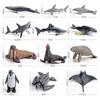 Educational Toys Dolphin Seal Ocean Fish Figurines Marine Animal Model Whale Shark Penguin Turtle
