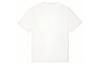 Converse T Shirts Men's White Crew Neck Moderate Straight Fit 10021515-A01