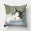 Cute Cat Print Decorative Cushion Pillowcase  Cover Pillow Sofa Living Room