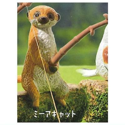 Fishing Day 4 Animals Kill Time Ale Gacha Gacha Capsule Toy [3. Meerkat] (Single Item)