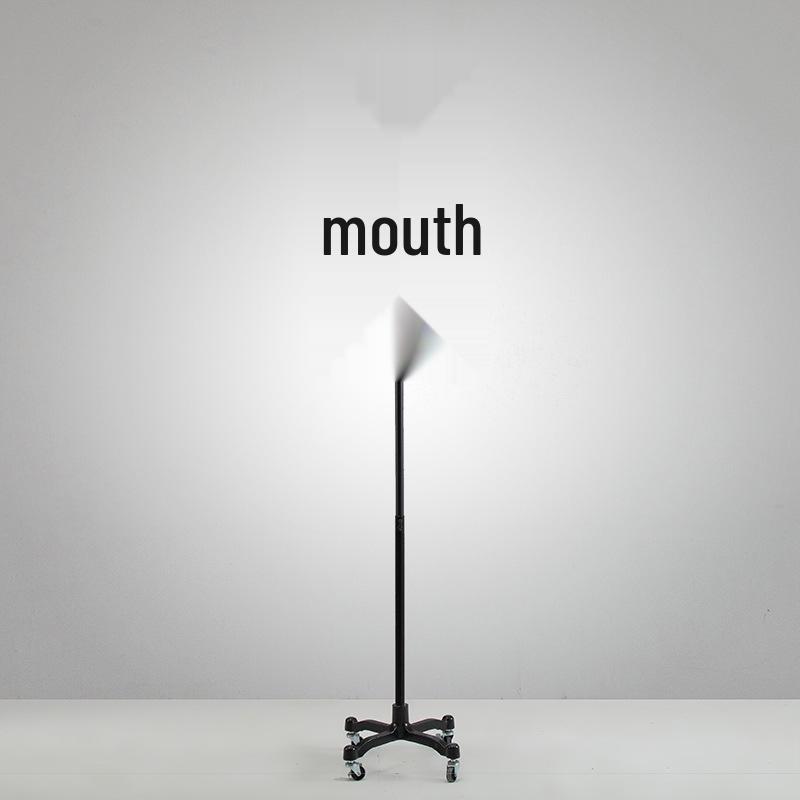 Korean Style Black Off-Shoulder Women's Half Body Mannequin with Right Angle Shoulder and Full Body Display Stand