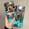 Cute Capybara Soft Back Phone Cover Case for Samsung Galaxy A50 A70 Note 20 Ultra 9 10 A04 A10 A20 A30 A40 A03 A01 A02 A06 A05