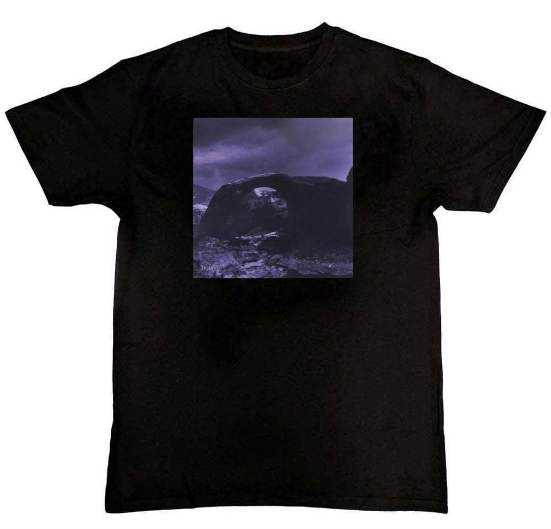 Hum Band Inlet Album Graphic Print Mens T-Shirt XXL