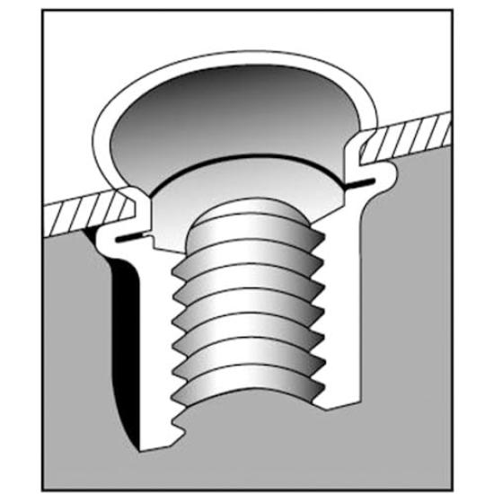 EBI Nut K type Aluminum NAK625M (1000 pieces) 6-2.5