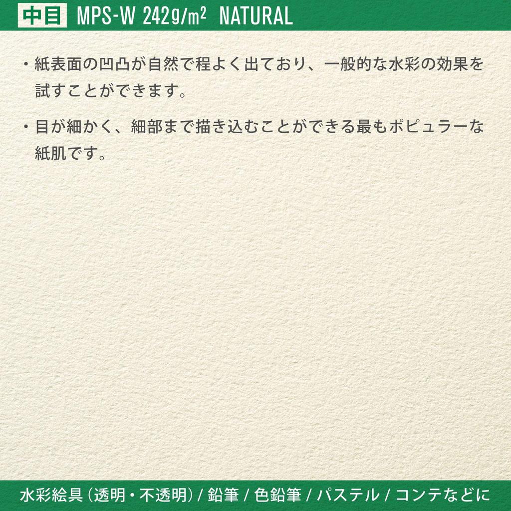 Maruman Sketchbook F4 Vif-Art Block Watercolor Paper, Medium Grain, 22 Sheets, B24VA