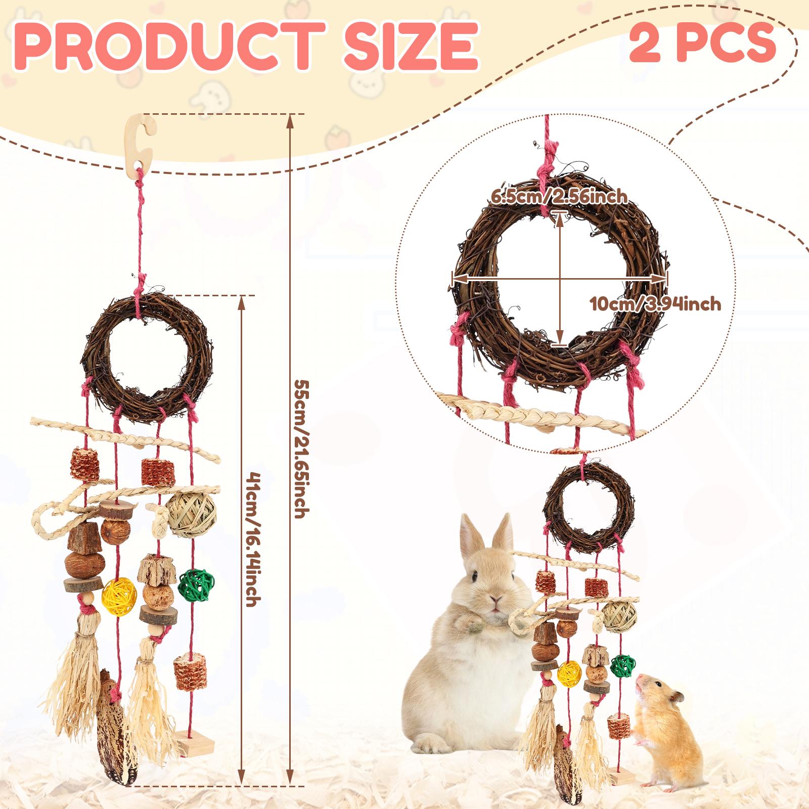 2Pcs Rabbit Chew Toy Hanging Small Pet Chew Toy Pet Cage Accessory Pet Supplies for Guinea Pig Chinchilla Hamster Teeth Grinding
