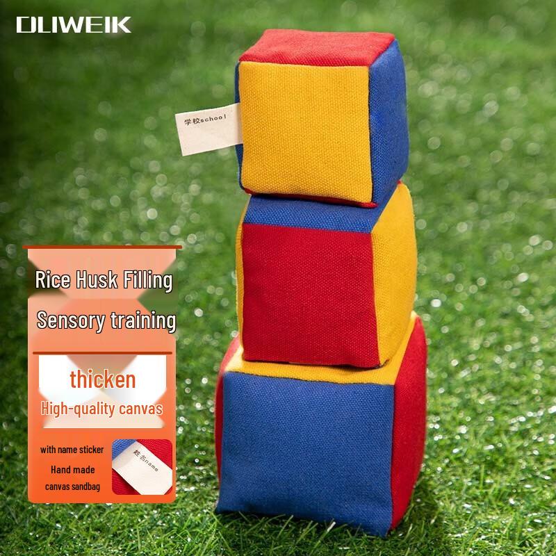 

Dewick Kids Durable Canvas Sandbags for Throwing Games
