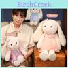 Adorable Princess Bunny Plush Toy With Cute Clothing Perfect For Kids And Gifts
