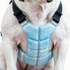 Honden Koelvest Hondentuig Koeljas Lichtgewicht Hitteverlichting voor Hondenwandelingen Buiten Kamperen en Jacht Training Koeling