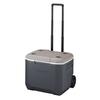 [Limited Model] Coleman COOLER 60QT WHLD AP20 LIGHT GRAY JAPAN (2000036781) Camp Hard Cooler Coleman