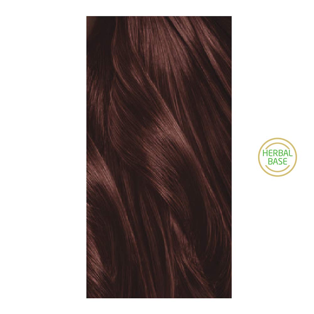 Neha Herbals Natural Mehandi Powder Pack Of 2 For Soft Hair Color And Conditioning Henna Based Herbal Hair Care 140 g Each Safe Home Hair Dye