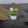 Hand-woven Tulip Flower Pot, Realistic Simulation Flower Design, Perfect Gift for Girlfriend, Relatives, Friends, Bright Colorful Home and Party
