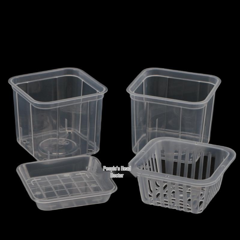 Transparent Square Orchid Hydroponic Pot with Observation Basket