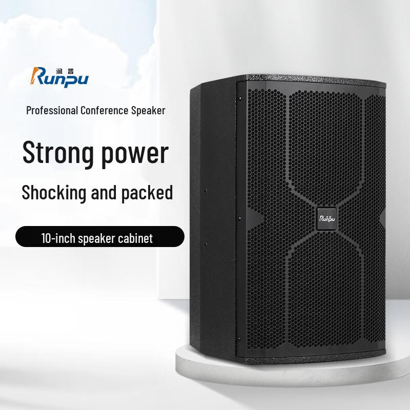 Runpu Professional Dual 10-inch Passive Conference Speaker (CN version)