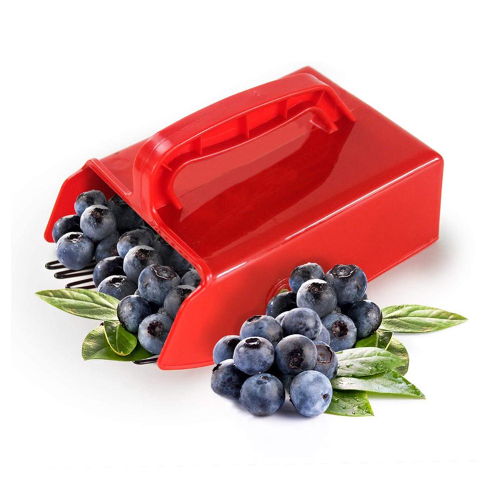 Colhedor de Frutas Vermelhas Portátil Coleta de Mirtilos Ferramenta de Colheita com Alça Conveniente Estufa Jardim Fazenda Colheitadeira de Frutas com Pente